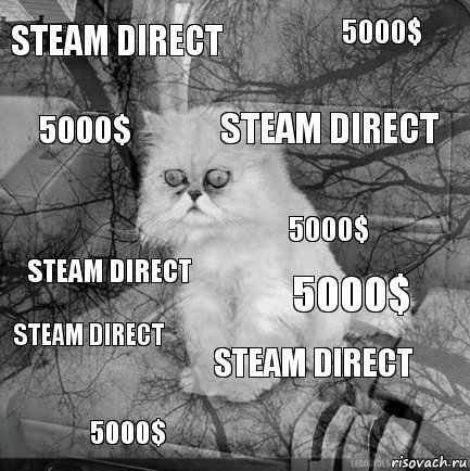 Steam Direct 5000$ Steam Direct 5000$ Steam Direct 5000$ Steam Direct 5000$ Steam Direct 5000$, Комикс  кот безысходность