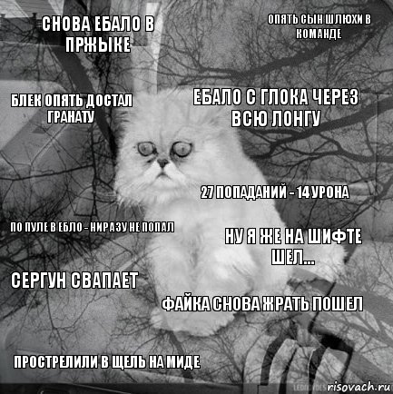 Снова ебало в пржыке Ну я же на шифте шел... Ебало с глока через всю лонгу Прострелили в щель на миде По пуле в ебло - ниразу не попал Опять сын шлюхи в команде Файка снова жрать пошел Блек опять достал гранату Сергун свапает 27 попаданий - 14 урона, Комикс  кот безысходность