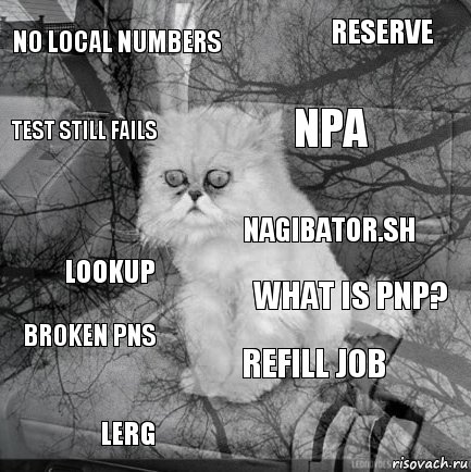 No Local numbers What is PNP? npa lerg lookup reserve Refill job test still fails broken pns nagibator.sh, Комикс  кот безысходность