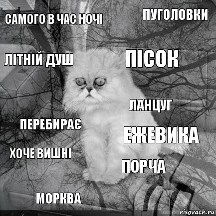 самого в час ночі ежевика пісок морква перебирає пуголовки порча літній душ хоче вишні ланцуг, Комикс  кот безысходность