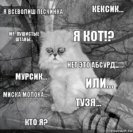 Я всеволиш песчинка Или... я кот!? кто я? Мурсик... Кексик... Тузя... Мр. пушистые штаны... миска молока... НЕТ ЭТО АБСУРД..., Комикс  кот безысходность