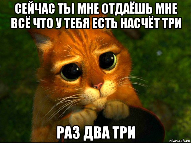 сейчас ты мне отдаёшь мне всё что у тебя есть насчёт три раз два три, Мем кот из шрека