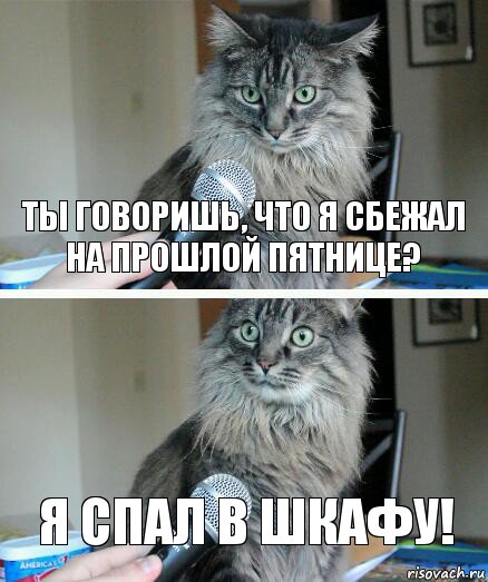 Ты говоришь, что я сбежал на прошлой пятнице? Я спал в шкафу!, Комикс  кот с микрофоном