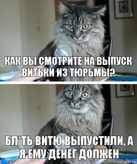 Как вы смотрите на выпуск витьки из тюрьмы? Бл*ть Витю выпустили, а я ему денег должен, Комикс  кот с микрофоном