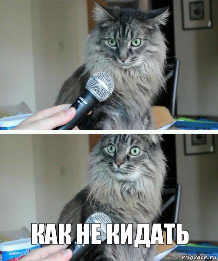  как не кидать, Комикс  кот с микрофоном