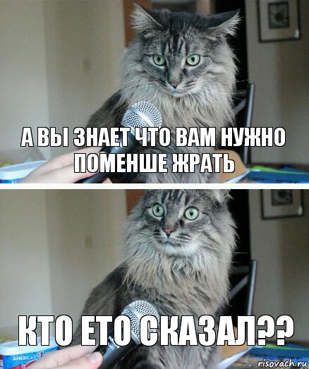 а вы знает что вам нужно поменше жрать кто ето сказал??, Комикс  кот с микрофоном