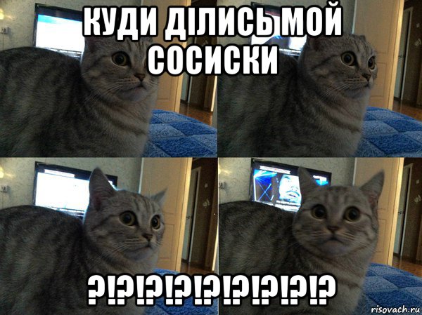 куди ділись мой сосиски ?!?!?!?!?!?!?!?!?, Мем  Кот в шоке