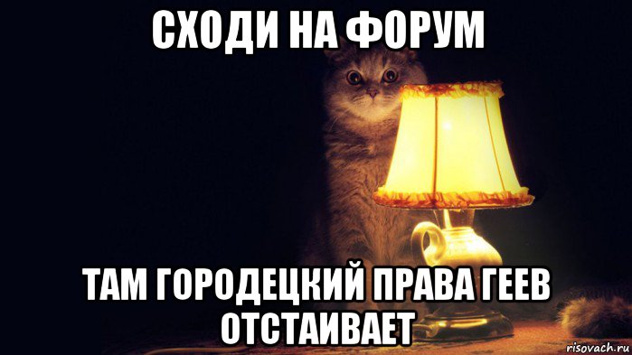 Форум сходите. С днём с вечером Мем кот. Кот магия Мем. Мемы с котами и надписями Наташа. Катализатор Мем с котом.