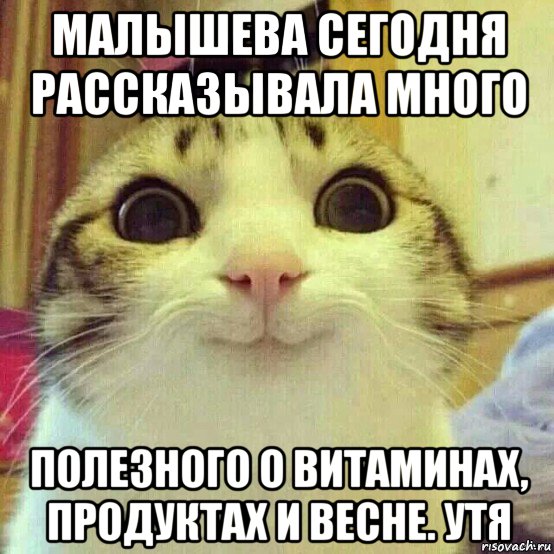 малышева сегодня рассказывала много полезного о витаминах, продуктах и весне. утя, Мем       Котяка-улыбака