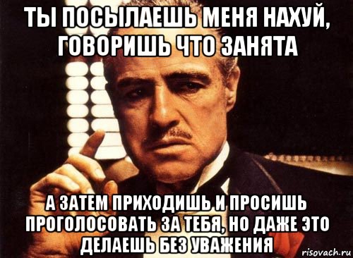 ты посылаешь меня нахуй, говоришь что занята а затем приходишь и просишь проголосовать за тебя, но даже это делаешь без уважения, Мем крестный отец