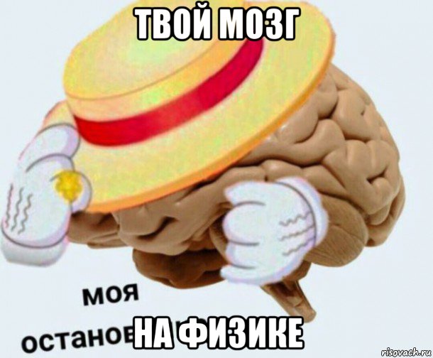 твой мозг на физике, Мем   Моя остановочка мозг