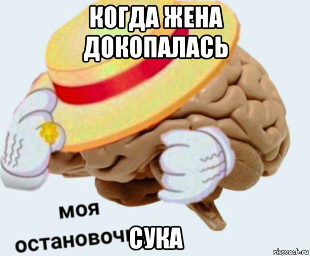 когда жена докопалась сука, Мем   Моя остановочка мозг