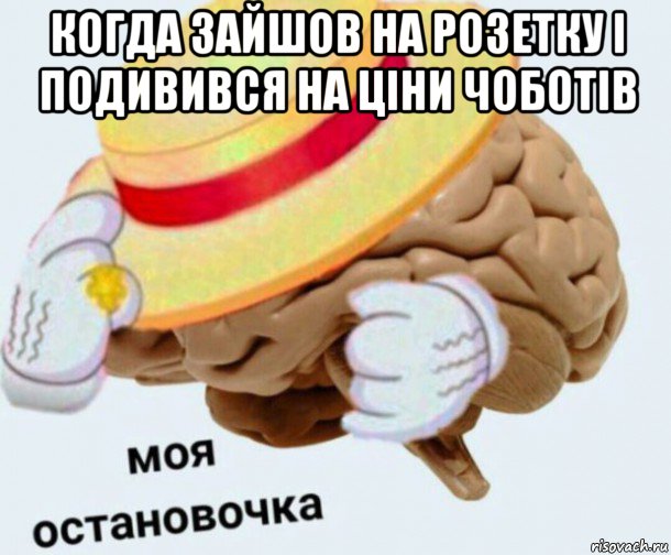 когда зайшов на розетку і подивився на ціни чоботів , Мем   Моя остановочка мозг