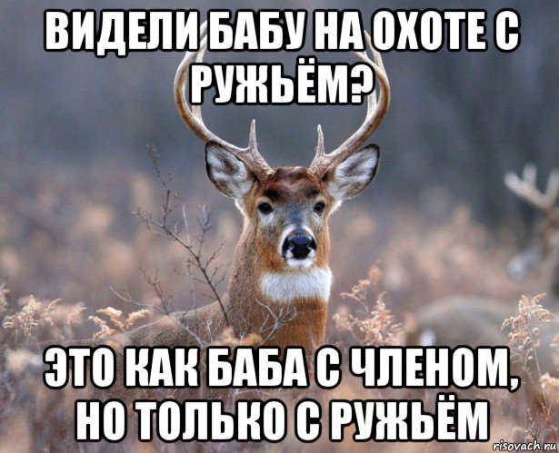 видели бабу на охоте с ружьём? это как баба с членом, но только с ружьём