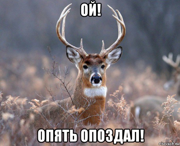 ой! опять опоздал!