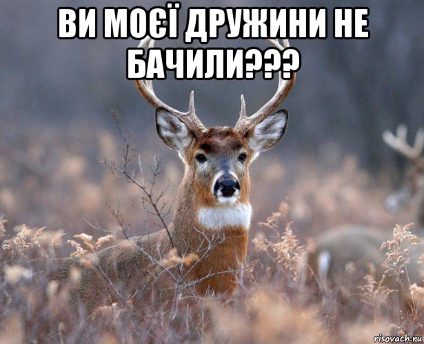 ви моєї дружини не бачили??? 