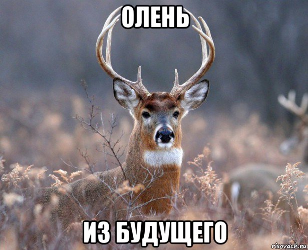 олень из будущего