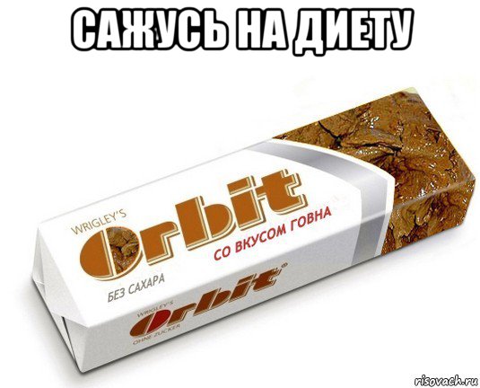 сажусь на диету , Мем орбит