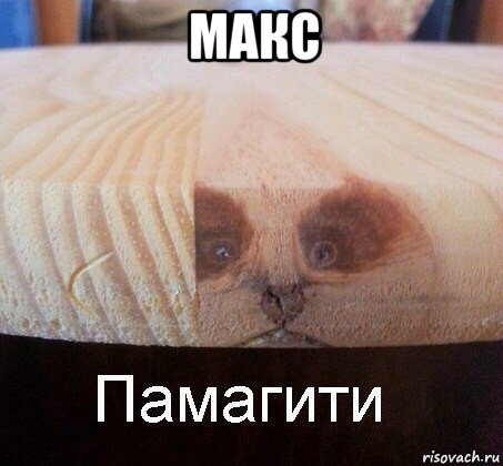 макс 