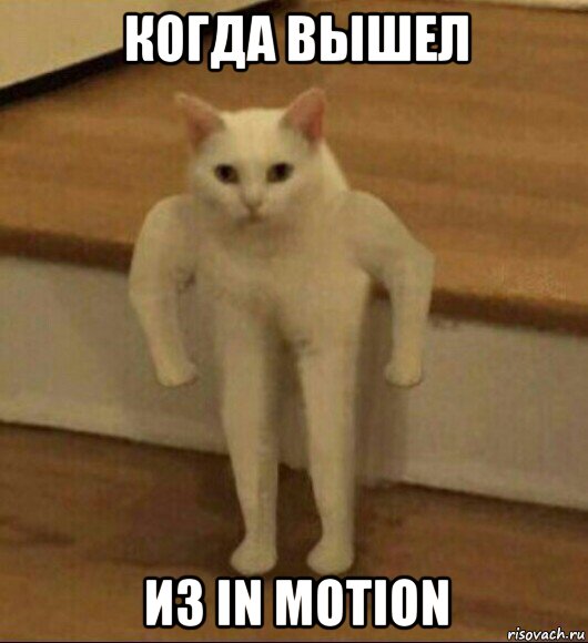 когда вышел из in motion, Мем  Полукот