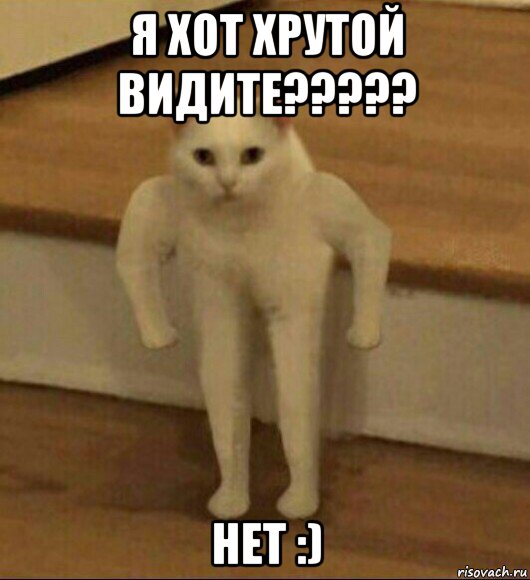 я хот хрутой видите????? нет :), Мем  Полукот