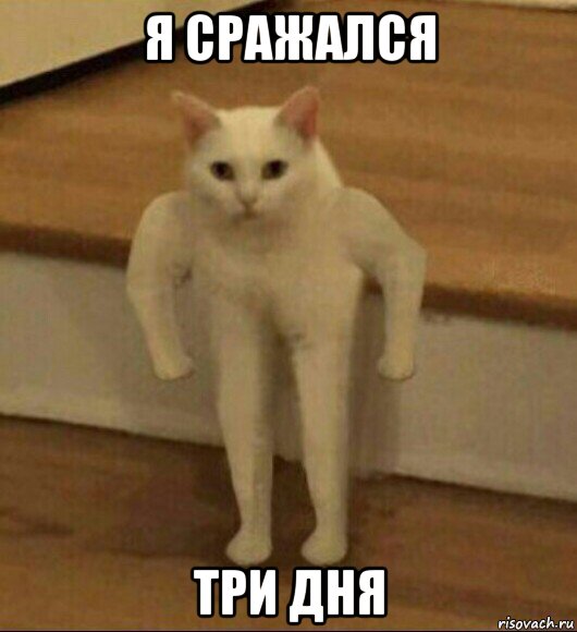 я сражался три дня, Мем  Полукот