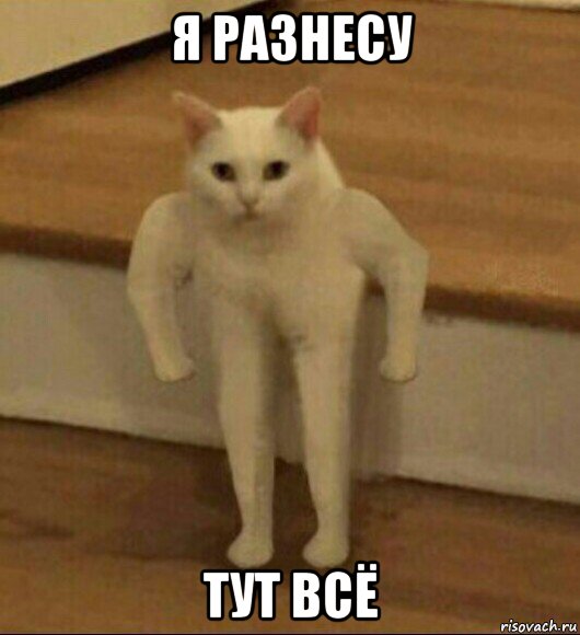 я разнесу тут всё, Мем  Полукот