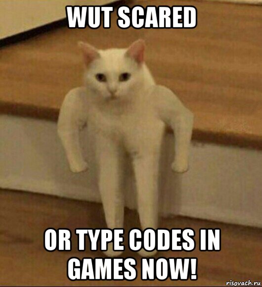 wut scared or type codes in games now!, Мем  Полукот