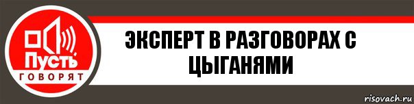 Эксперт в разговорах с цыганями, Комикс   пусть говорят