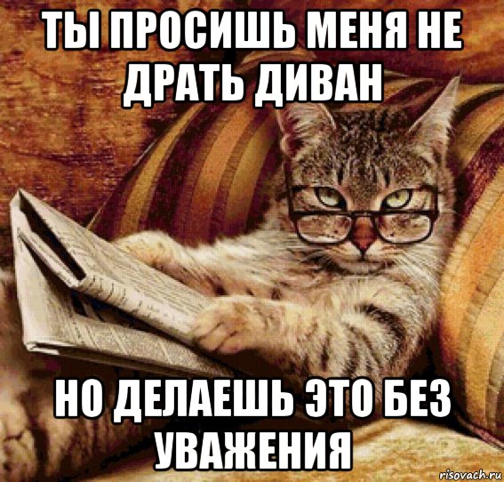 Надо драть. Кот ты делаешь это без уважения. Ты делаешь это без уважения Мем. Без уважения Мем. Просишь без уважения Мем.