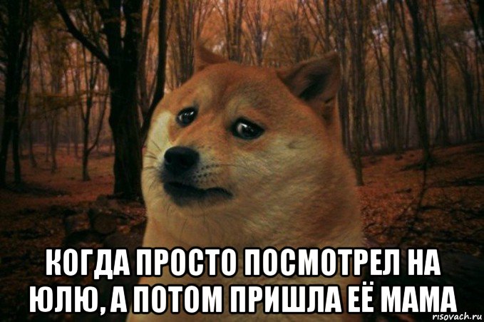  когда просто посмотрел на юлю, а потом пришла её мама, Мем SAD DOGE