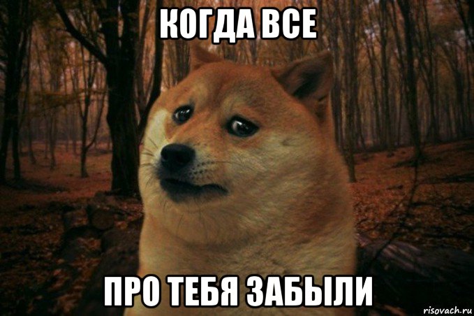 когда все про тебя забыли, Мем SAD DOGE