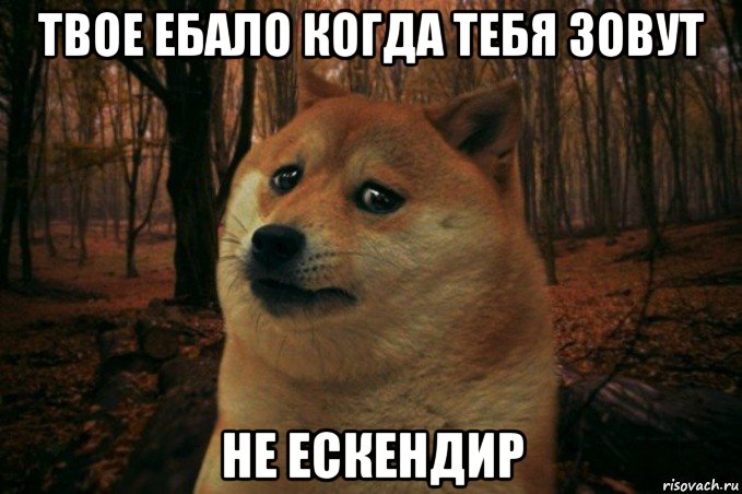 твое ебало когда тебя зовут не ескендир, Мем SAD DOGE