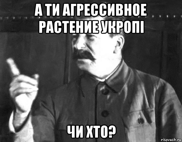 а ти агрессивное растение укропi чи хто?, Мем  Сталин пригрозил пальцем