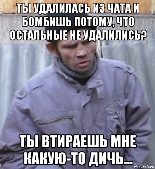 ты удалилась из чата и бомбишь потому, что остальные не удалились? ты втираешь мне какую-то дичь..., Мем  Ты втираешь мне какую то дичь