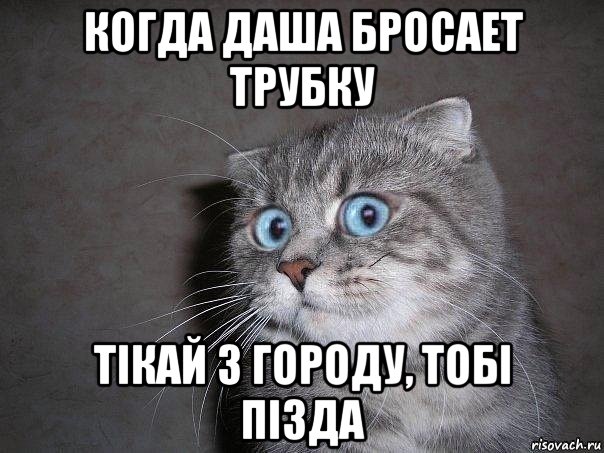 когда даша бросает трубку тiкай з городу, тобi пiзда, Мем  удивлённый кот