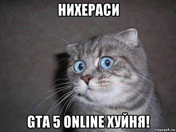 нихераси gta 5 online хуйня!, Мем  удивлённый кот