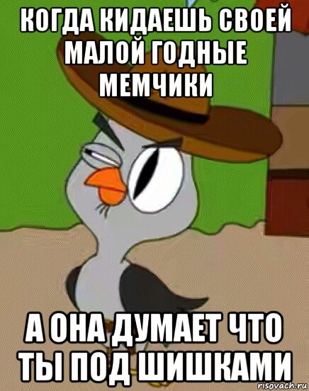 когда кидаешь своей малой годные мемчики а она думает что ты под шишками, Мем    Упоротая сова