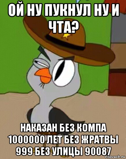 ой ну пукнул ну и чта? наказан без компа 1000000 лет без жратвы 999 без улицы 90087, Мем    Упоротая сова