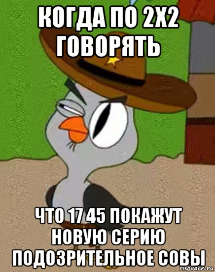 когда по 2x2 говорять что 17 45 покажут новую серию подозрительное совы, Мем    Упоротая сова