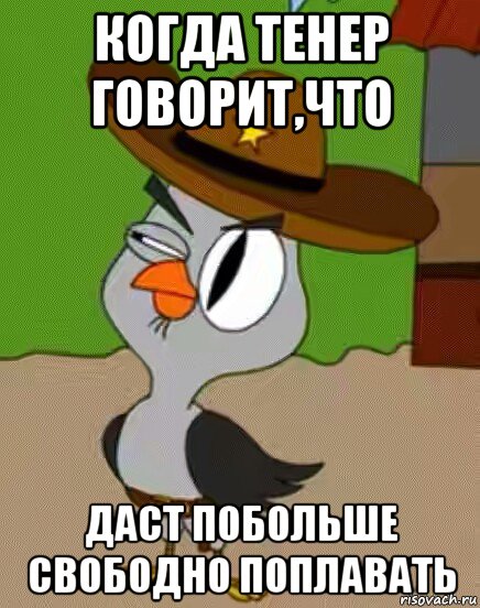 когда тенер говорит,что даст побольше свободно поплавать, Мем    Упоротая сова