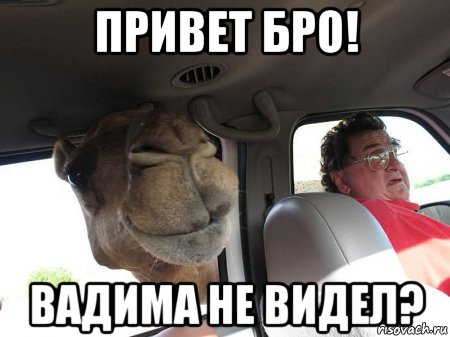 Привет Бро
