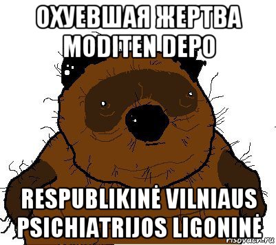 охуевшая жертва moditen depo respublikinė vilniaus psichiatrijos ligoninė, Мем  Винни збс