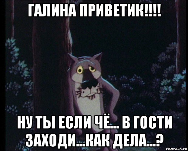 Случайно нажала. Привет Галина. Шутки про Галину. Ну ты это заходи если че в гости. Галина прикольные картинки.