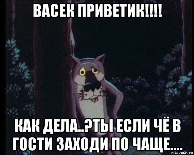 Чаще в гости. Спокойной ночи если че. Спокойной ночи волк Мем. Привет Василий. Привет Вася Мем.