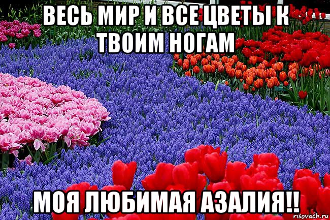 Все цветы к твоим ногам картинки