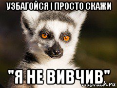 узбагойся і просто скажи "я не вивчив", Мем Я збагоен