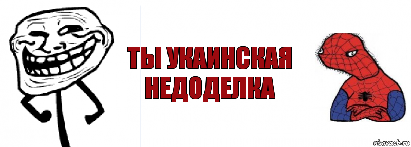 ты укаинская недоделка, Комикс Спуди и траль