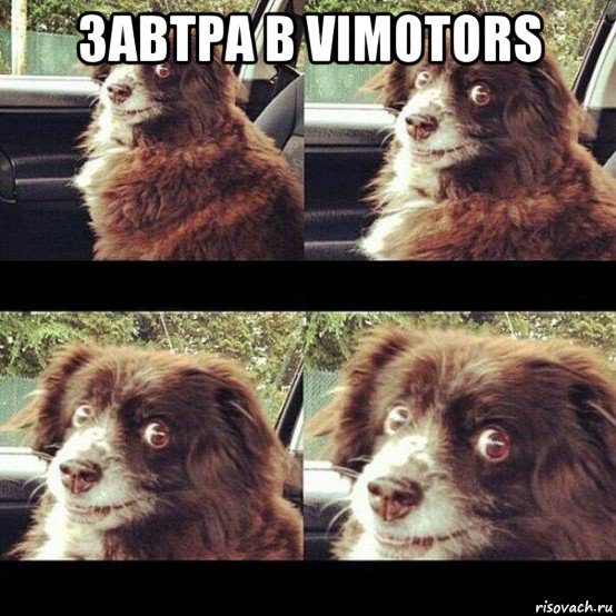 завтра в vimotors 