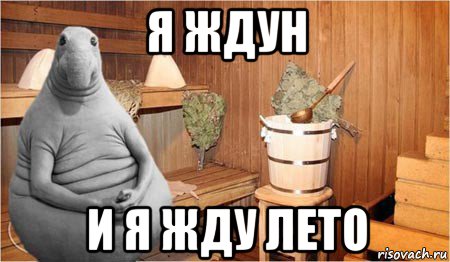 я ждун и я жду лето, Мем  Ждун в бане